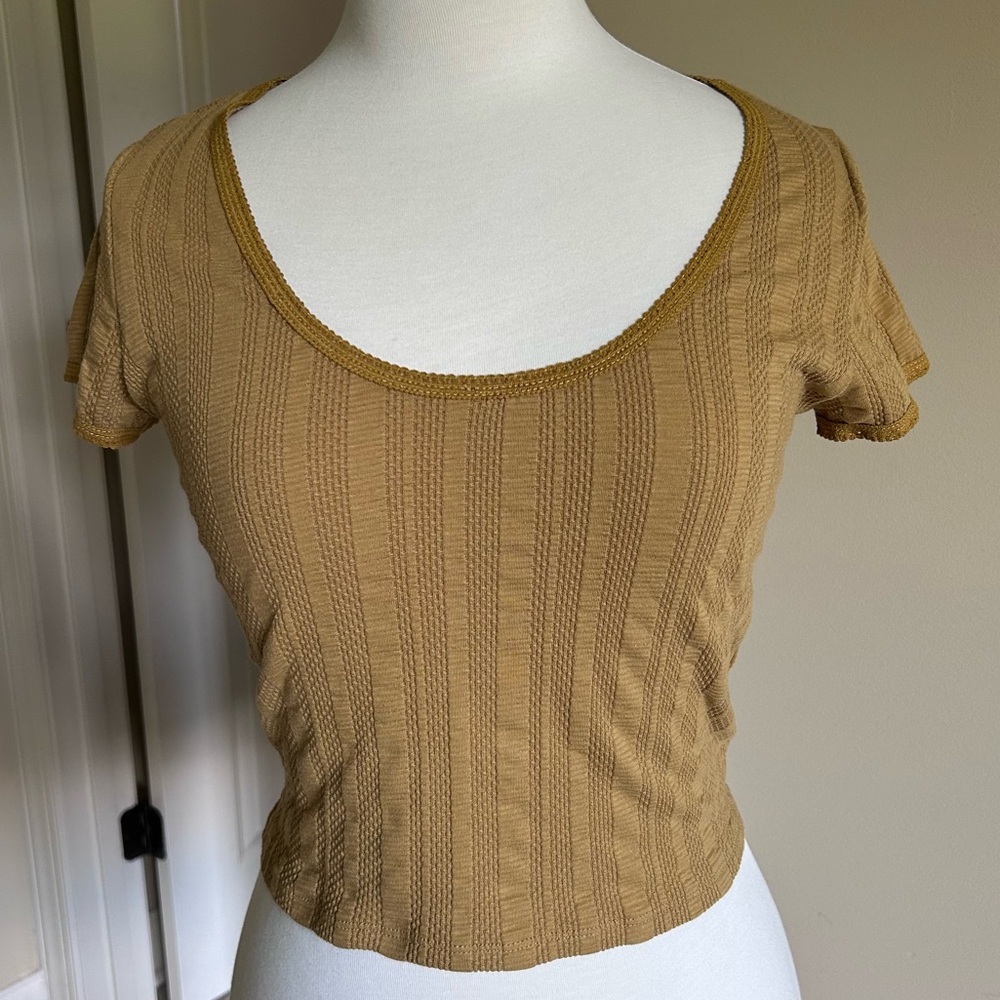 NWOT Madewell Pointelle Scoopneck Crop Tee in Bronzed Lichen